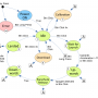 state_diagram.png